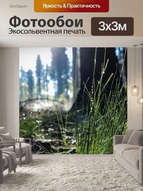 Фотообои Утренняя дымка