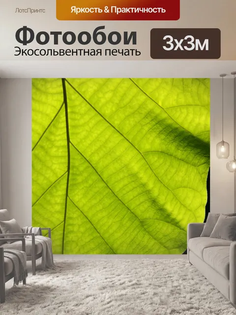 Фотообои Текстура зеленых листьев