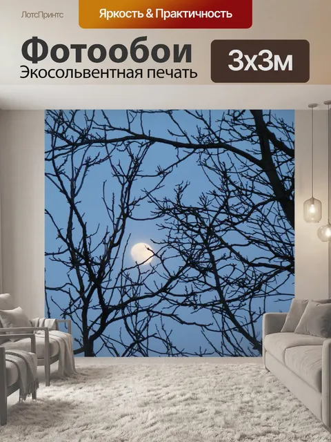 Фотообои луна