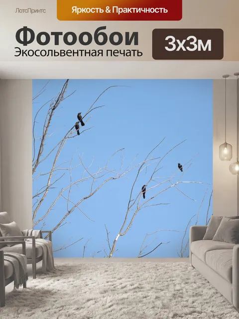 Фотообои Черные птицы