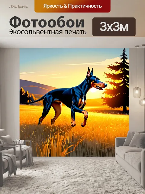 Фотообои доберман, играющий в золотом поле под вечерним солнцем, с длинными тенями и яркими красками заката