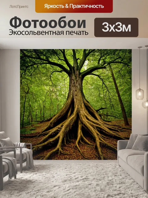 Фотообои лес с завораживающими старинными деревьями и их корнями