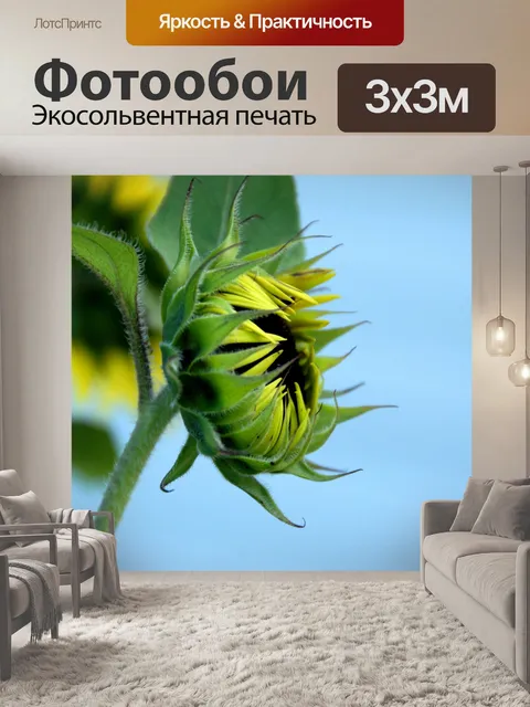 Фотообои Цветущий цветок