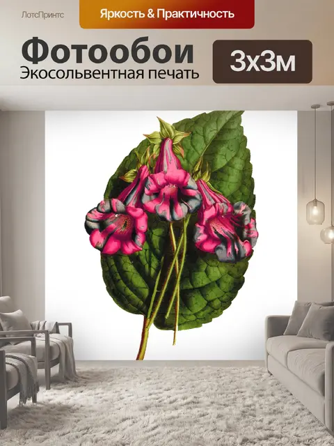 Фотообои Клипарт Цветочная роспись искусства