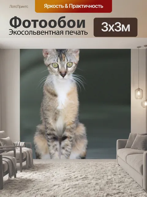 Фотообои Кошачий