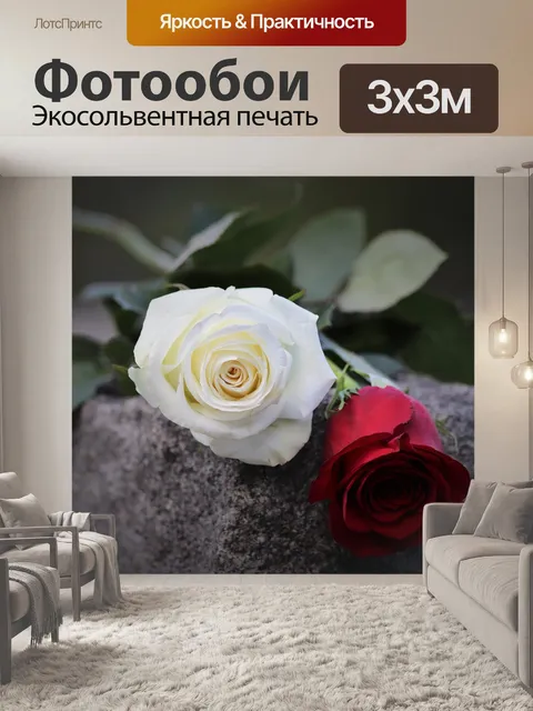 Фотообои Красные и белые розы