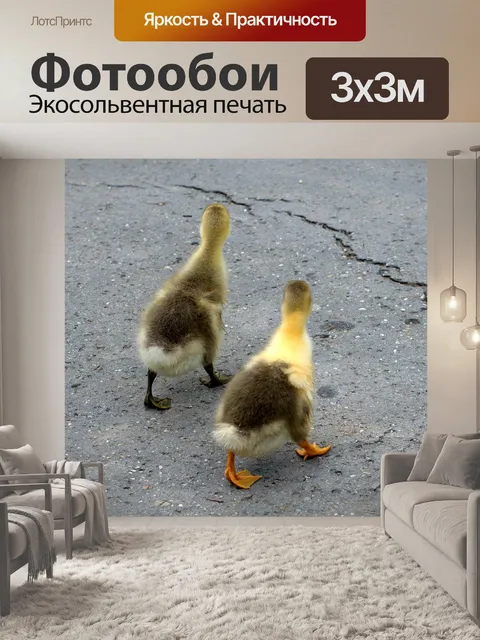 Фотообои Курица