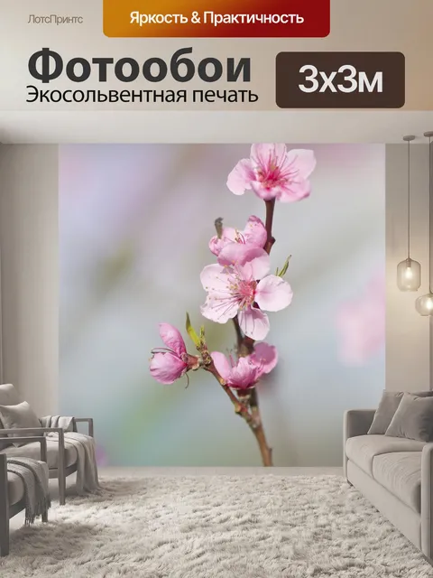 Фотообои Розовый цветок