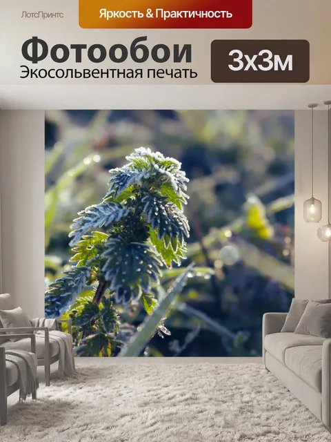 Фотообои Утренний мороз