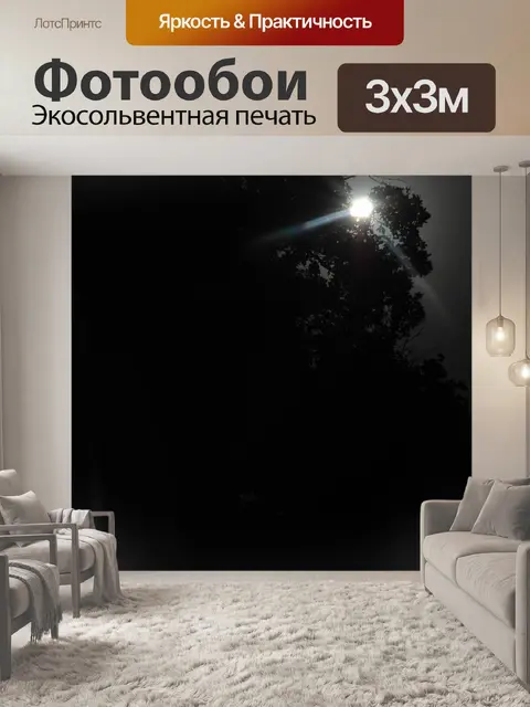 Фотообои Луна