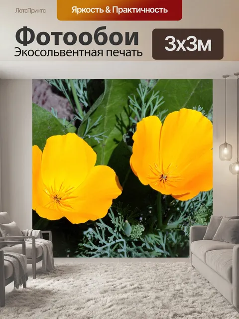 Фотообои Калифорния маки кукушка представляет