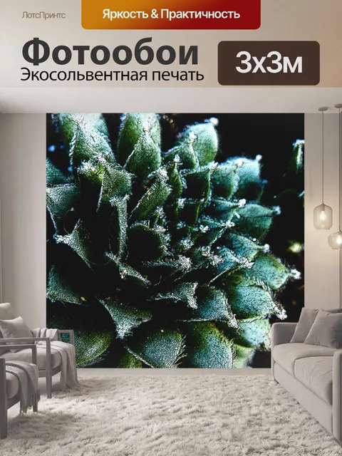 Фотообои Художественный суккуленты Крупным планом