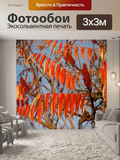 Фотообои Листья