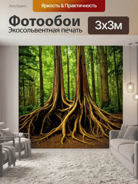Фотообои древний лес с величественными корнями, столетние деревья, уникальная природа