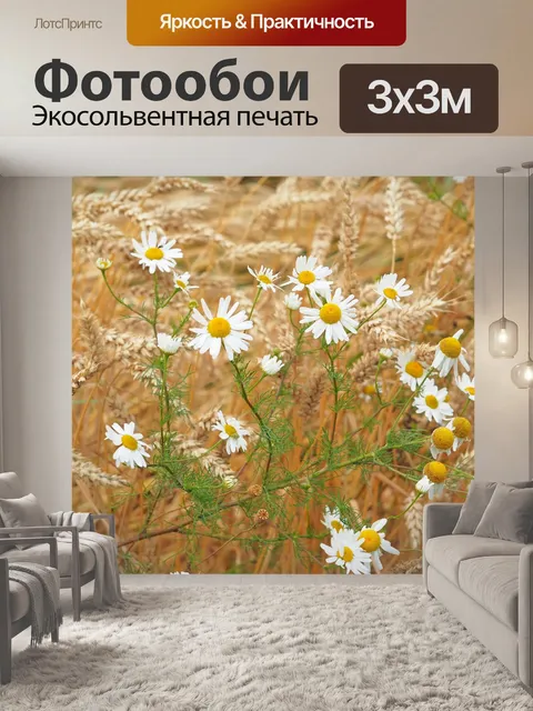 Фотообои Ромашки в поле пшеницы