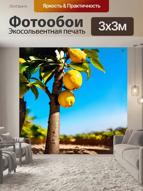 Фотообои лимонное дерево возвышается под ярким солнцем, его сочные лимоны ярко сверкают на фоне голубого неба