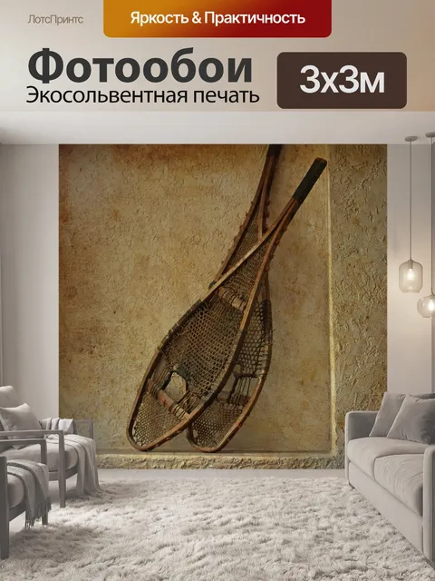 Фотообои Античные снегоступов