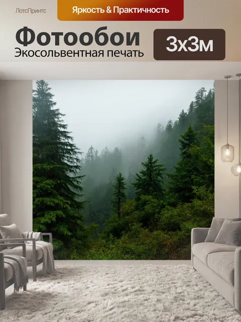 Фотообои лес с таинственным облаком, окружающим вершины гор и деревья
