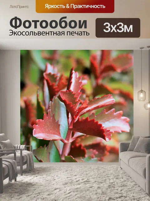 Фотообои красные сочные листья