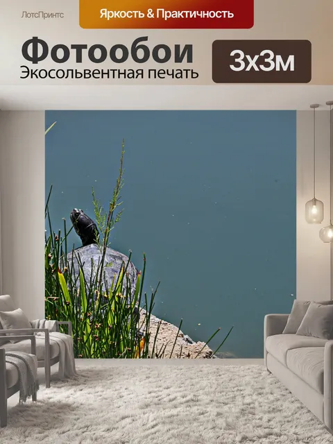 Фотообои Черепаха на берегу озера