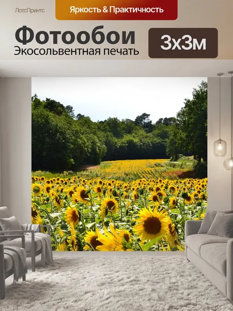 Фотообои Поля подсолнечника