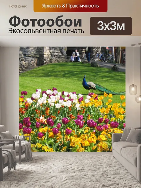 Фотообои Павлин в парке