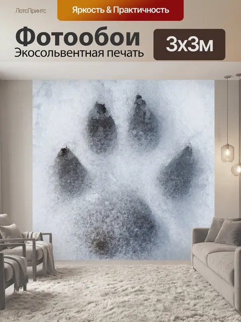 Фотообои Отпечаток лапы