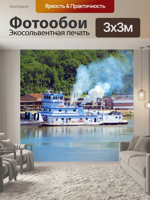 Фотообои Река иллинойс тугрики