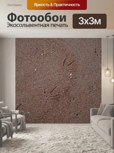Фотообои Чайка