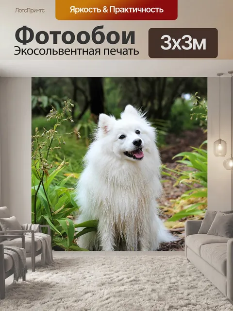 Фотообои Собака