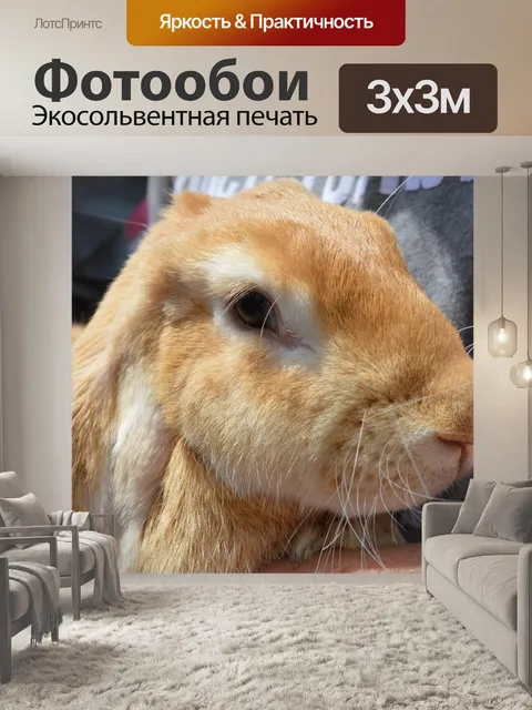 Фотообои Домашний питомец