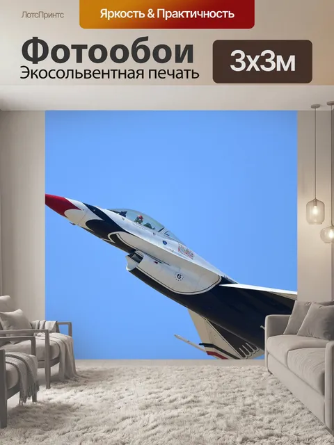 Фотообои Ввс сша