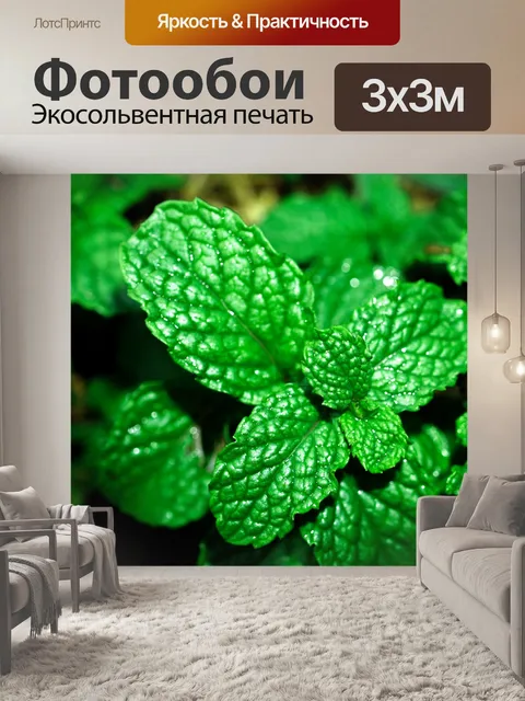 Фотообои Свежие листья мяты