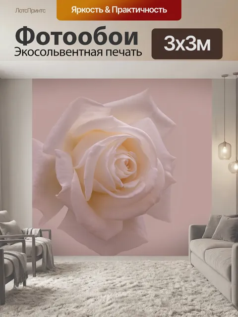 Фотообои Роза
