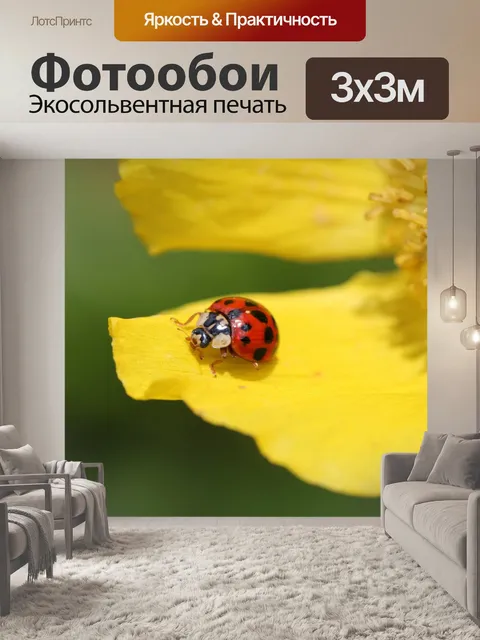 Фотообои Божья коровка