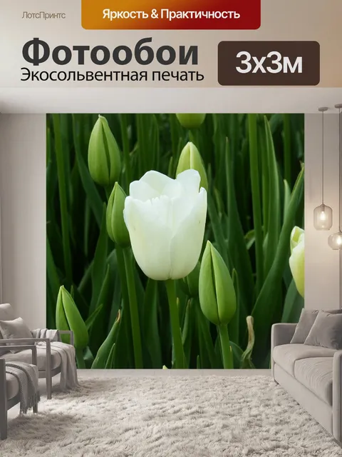 Фотообои Белый