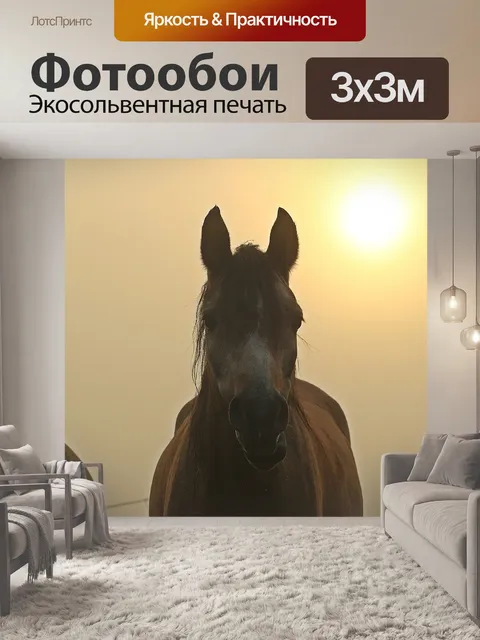 Фотообои Туман