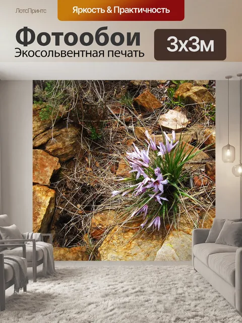 Фотообои сиреневые цветы на черной палочке лилии