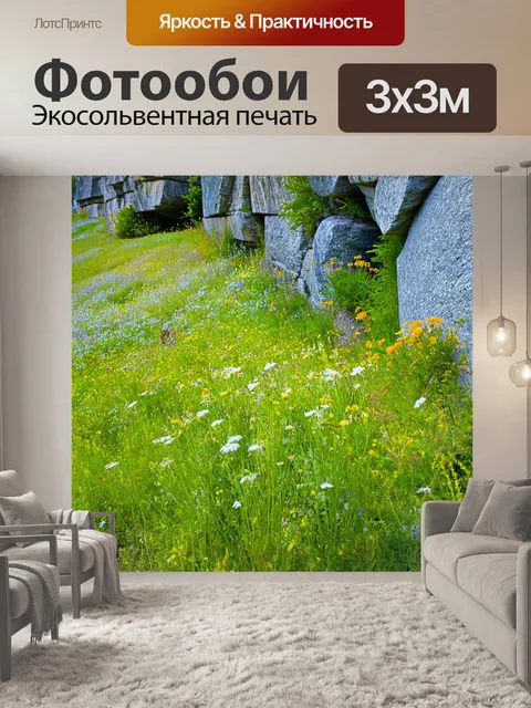 Фотообои камень, на которых показаны плодородные луга среди скал, с дикими цветами, растущими в трещинах камней