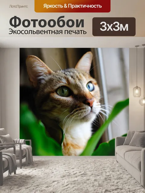 Фотообои Кошка