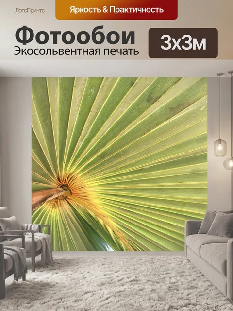 Фотообои Пальмовый лист