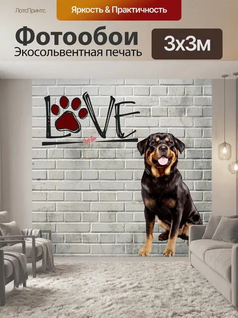 Фотообои Плакат собаки ротвейлера