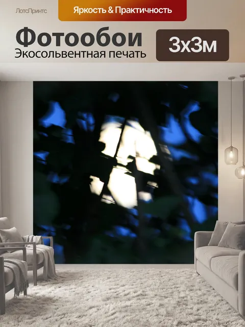 Фотообои полная луна за смоковницей