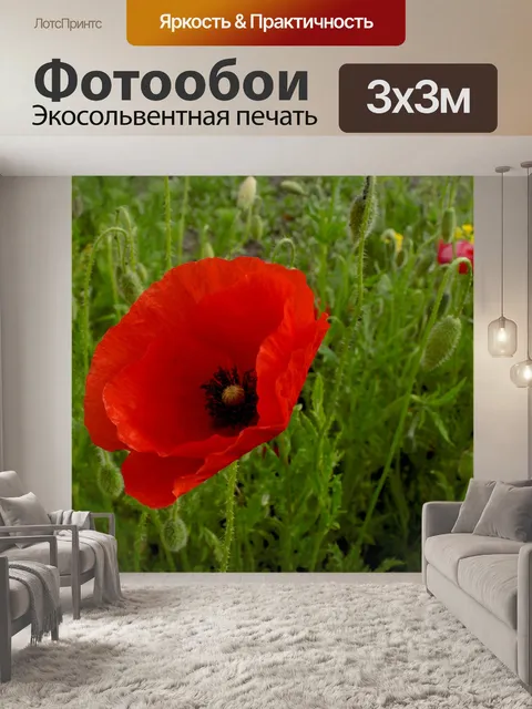 Фотообои Мак