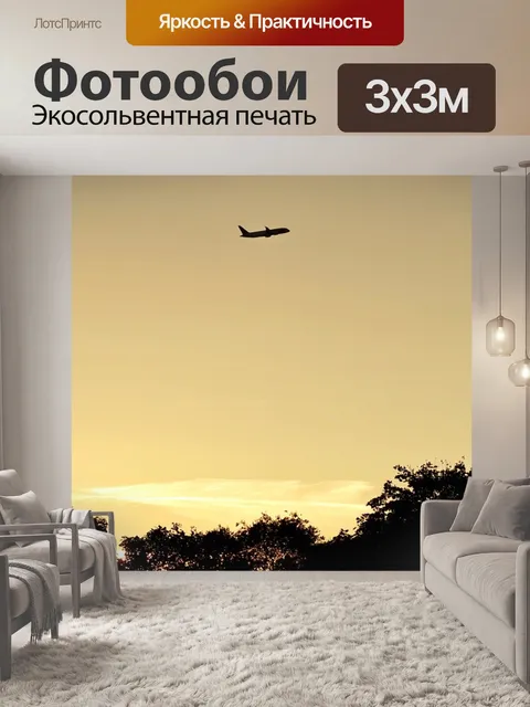 Фотообои Самолет