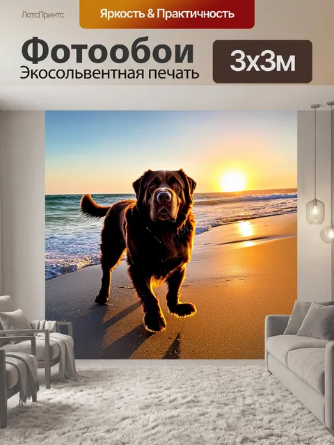 Фотообои вдохновляющий пейзаж у моря с ньюфаундлендом, гуляющим по пляжу