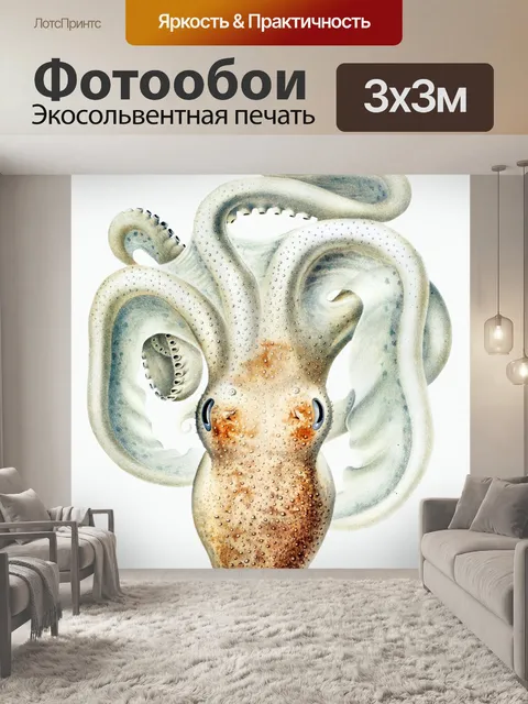 Фотообои Кальмар осьминог винтажное искусство