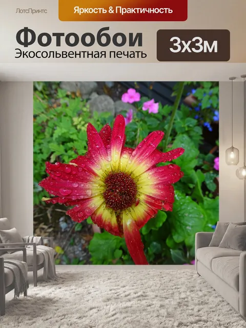 Фотообои Красный мокрый цветок