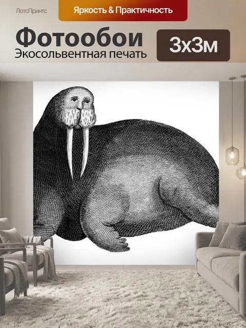 Фотообои Арктический морж