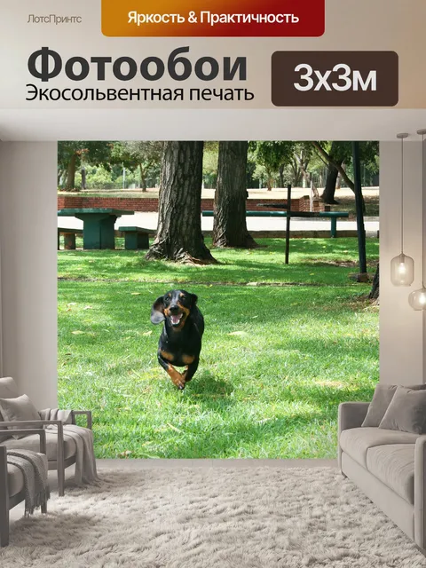 Фотообои счастливая собака на месте пикника